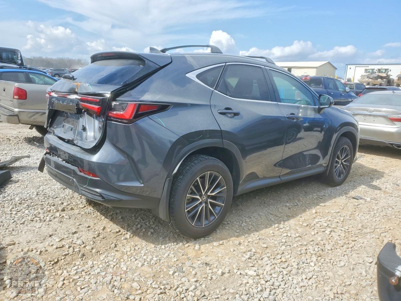 2025 LEXUS NX — фото 3