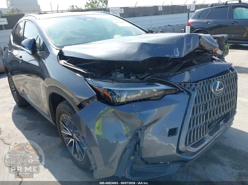 2024 LEXUS NX 350 — фото 18