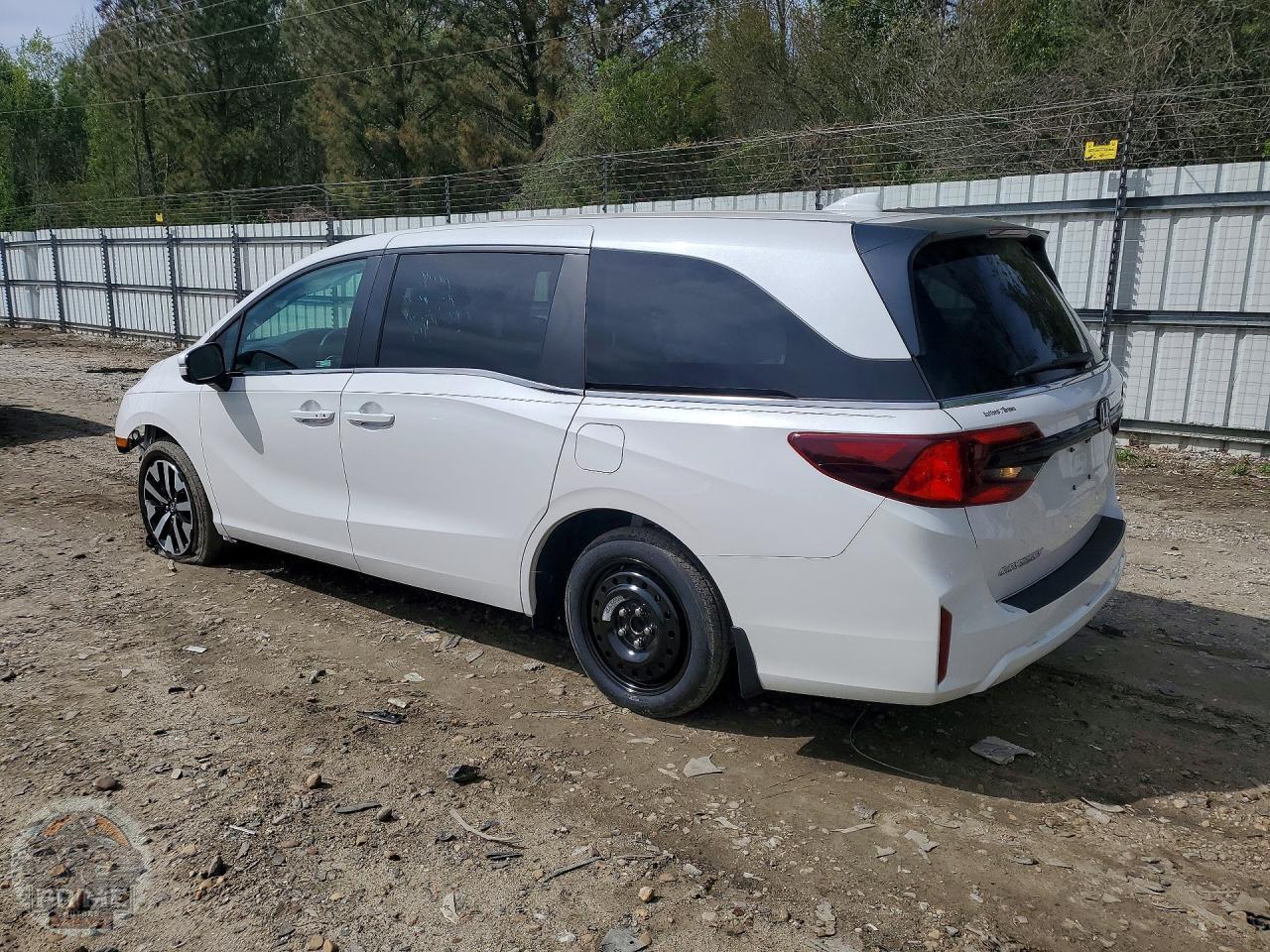 2025 HONDA ODYSSEY — фото 2