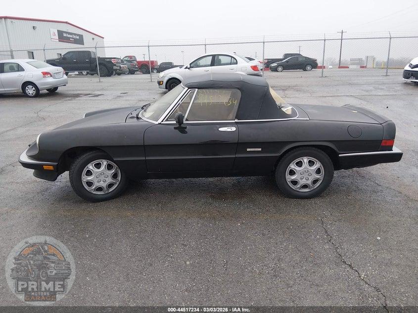 1990 ALFA ROMEO SPIDER GRADUATE — фото 14