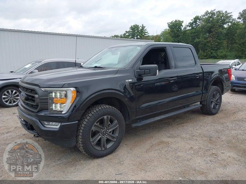 2023 FORD F-150 XLT — фото 2