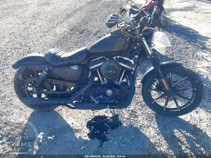 2019 HARLEY-DAVIDSON XL883 (STANDART) N — фото 11