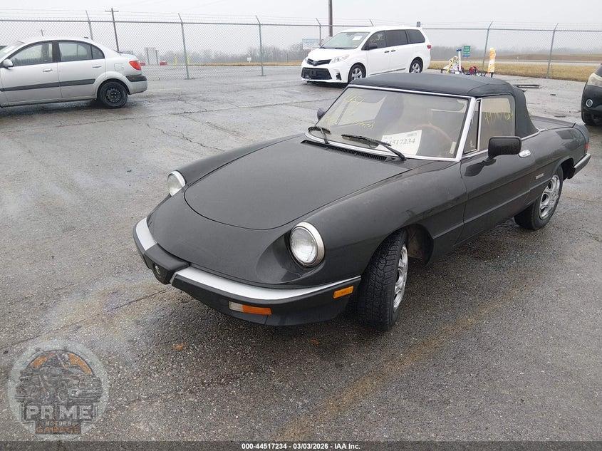 1990 ALFA ROMEO SPIDER GRADUATE — фото 2