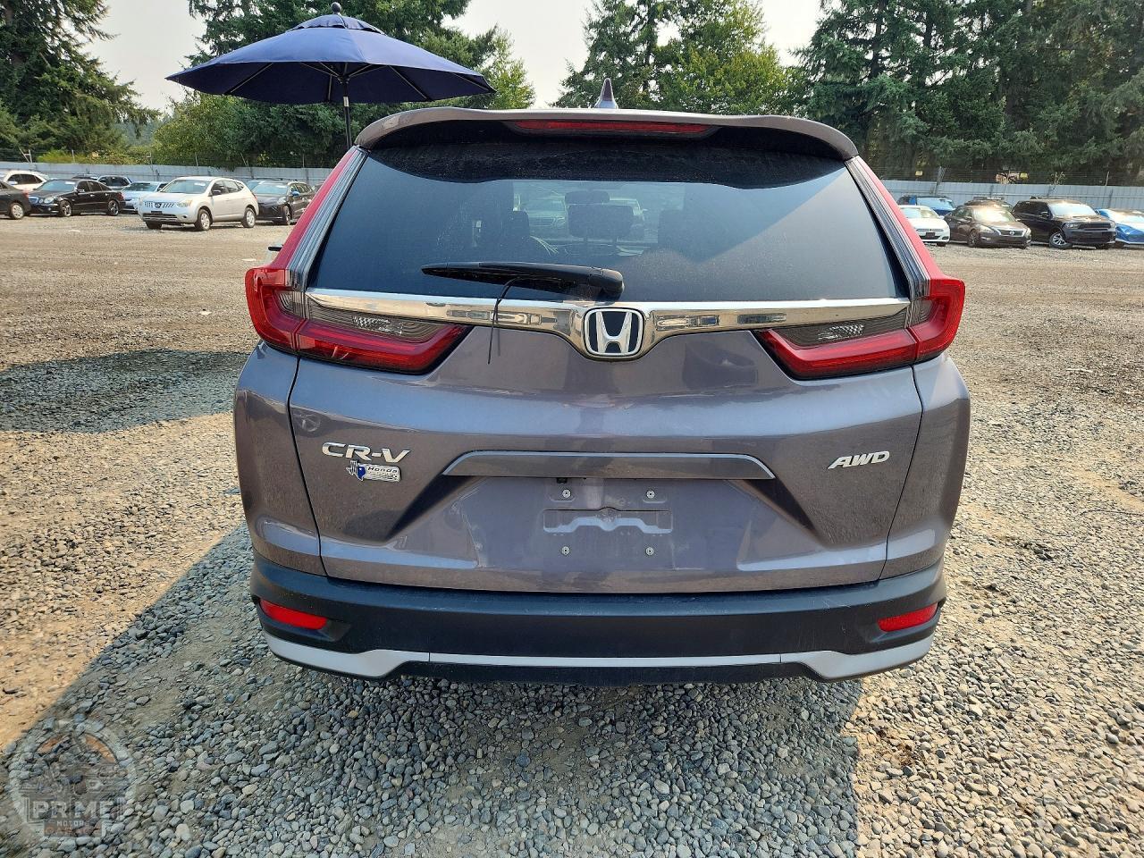 2022 HONDA CR V — фото 6