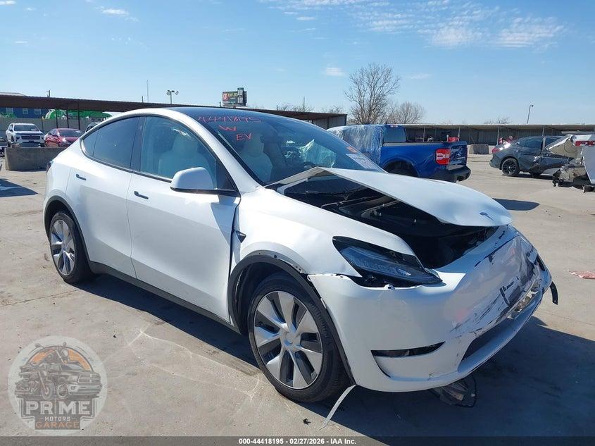 2023 TESLA MODEL Y — фото 1