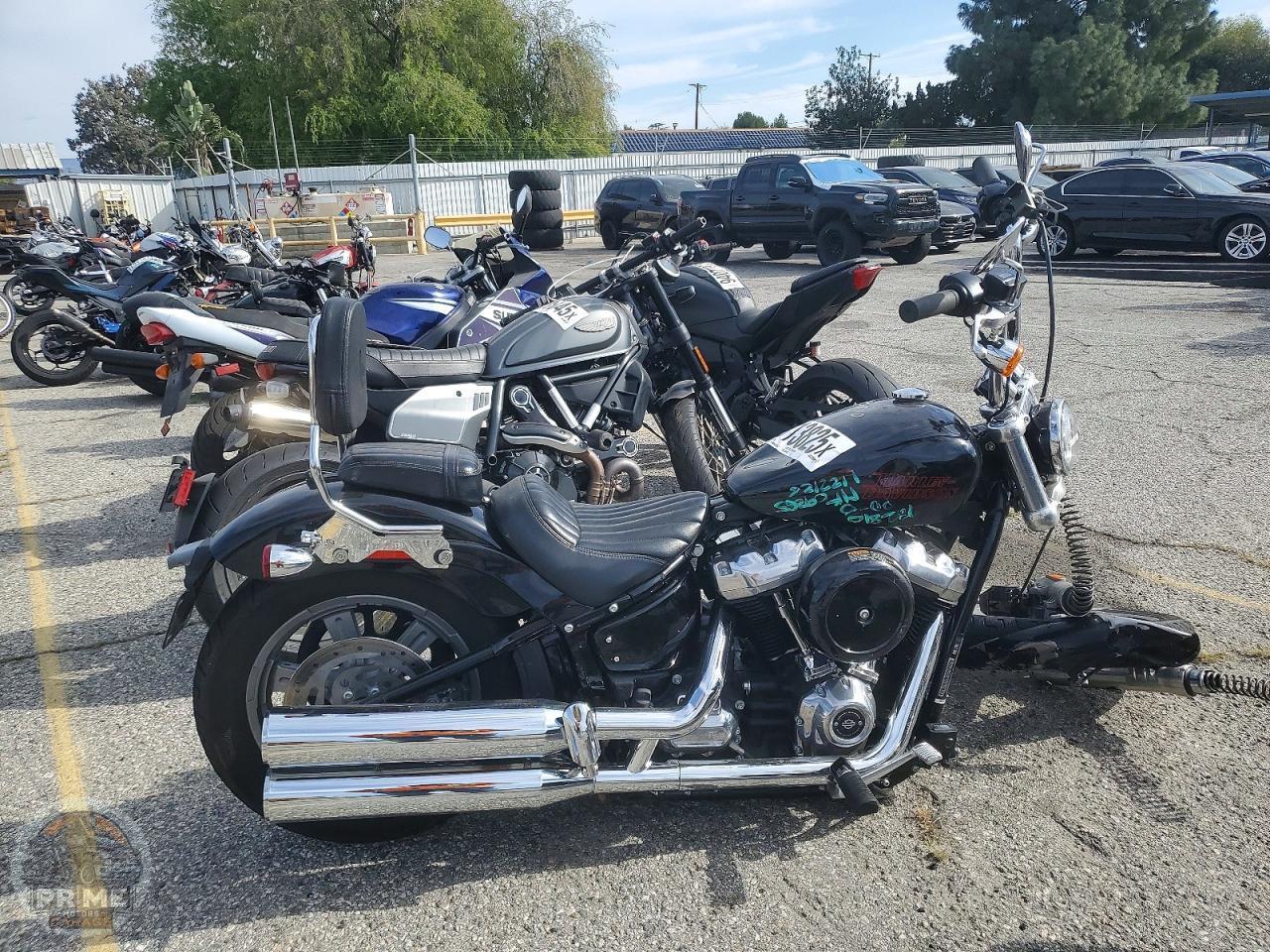 2024 HARLEY-DAVIDSON FXST (SOFTAIL STANDARD) — фото 1