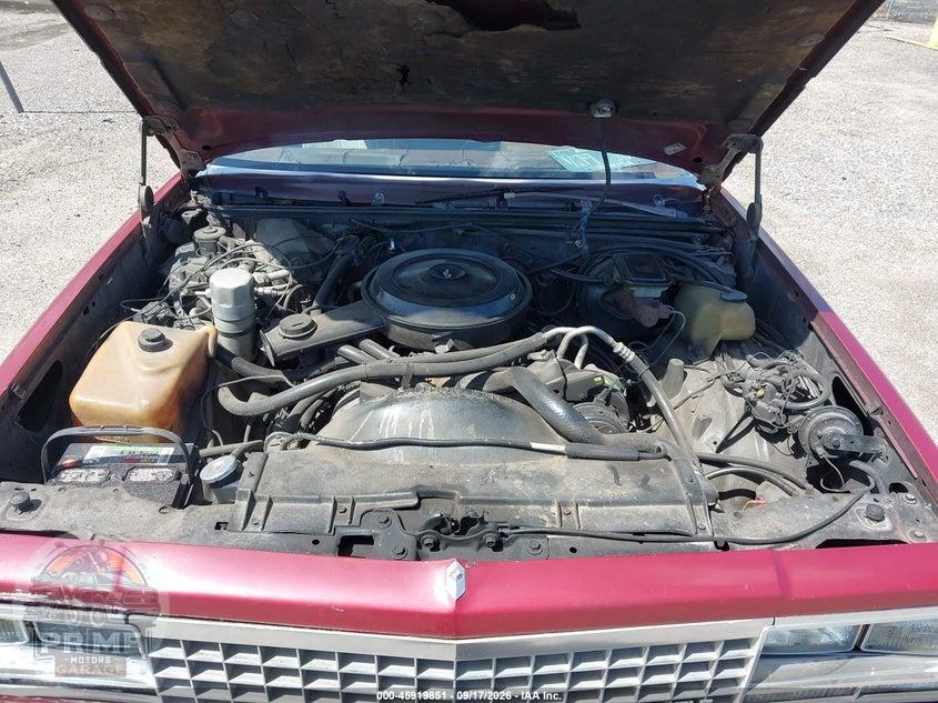 1983 CHEVROLET EL CAMINO — фото 10
