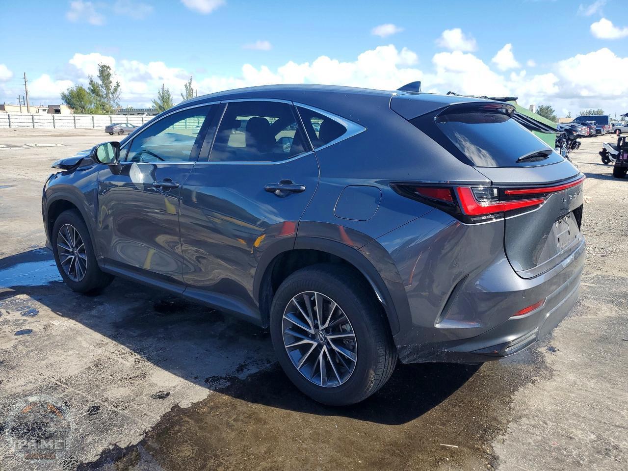 2023 LEXUS NX — фото 2