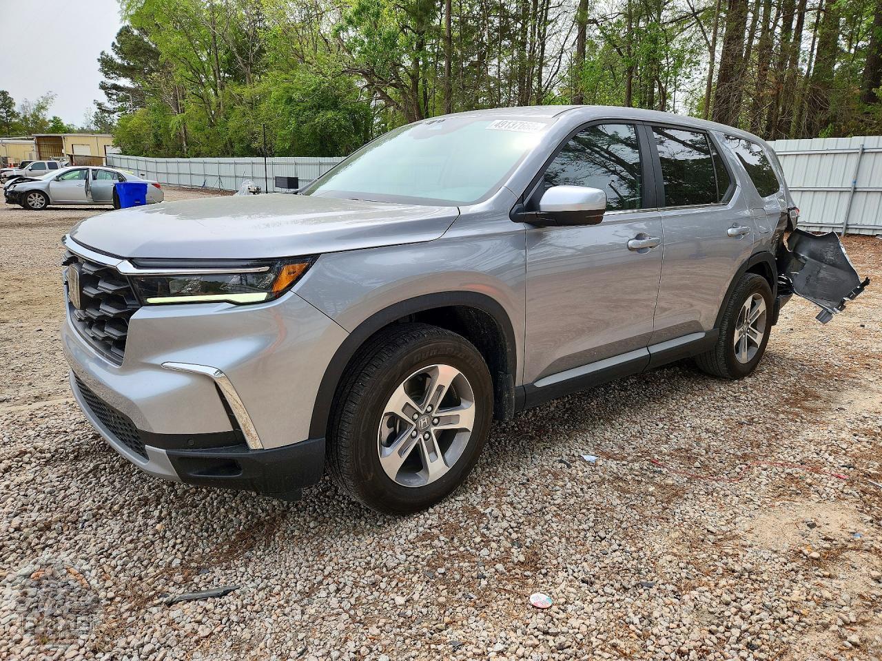 2025 HONDA PILOT — фото 1