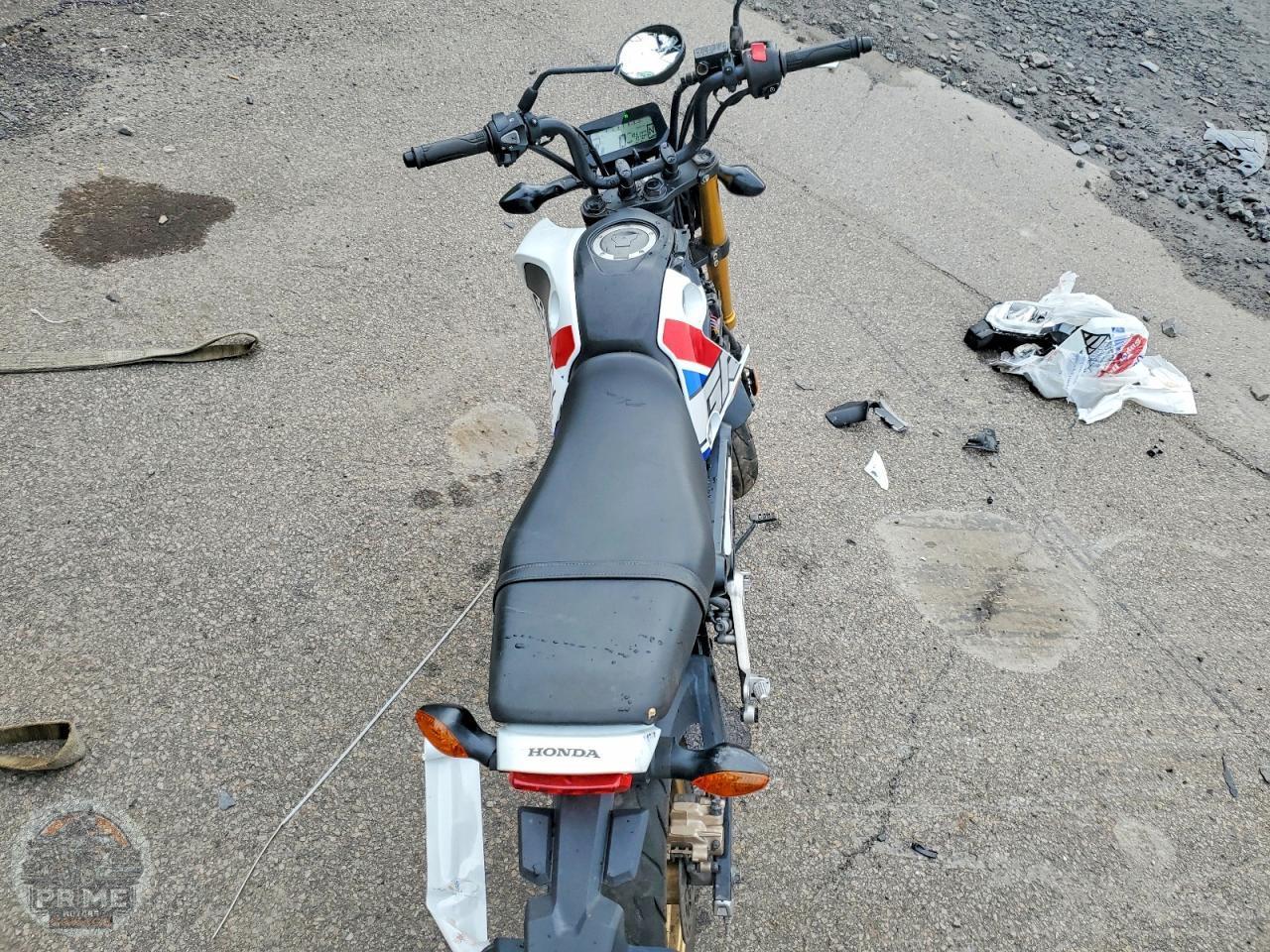 2023 HONDA GROM — фото 6