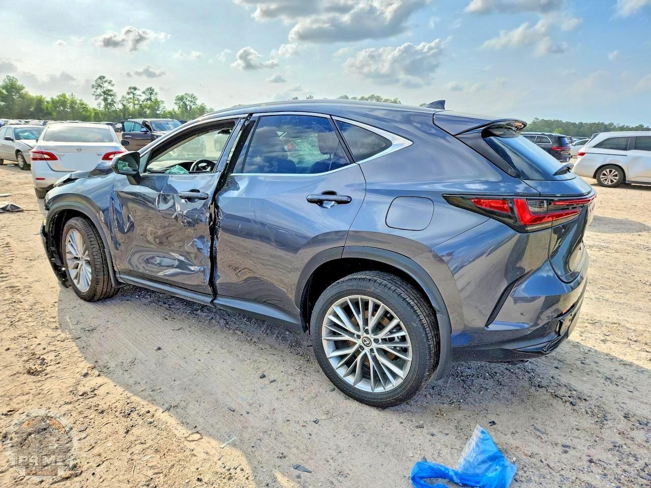 2025 LEXUS NX — фото 2
