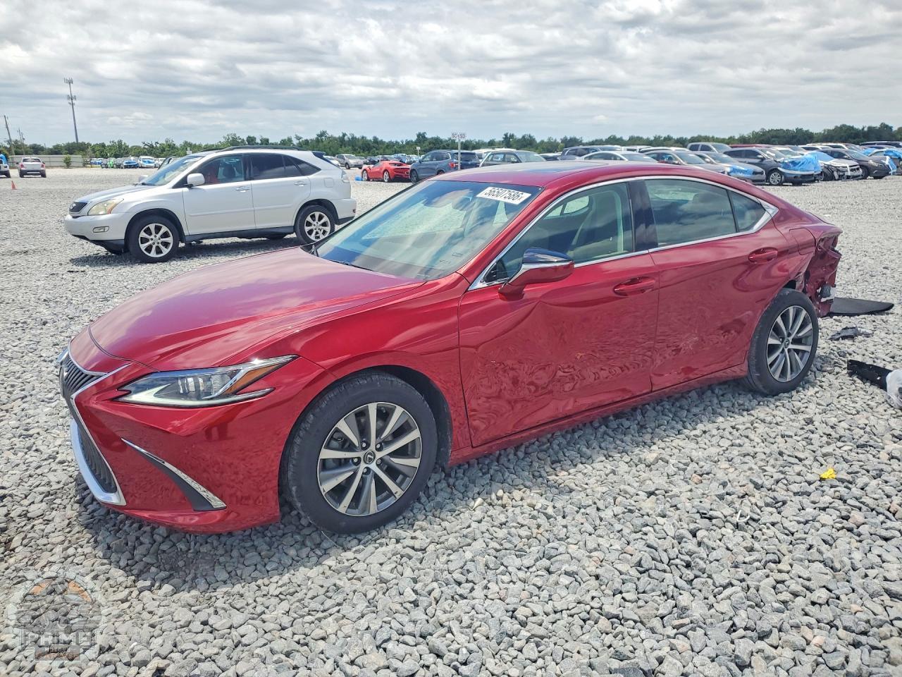 2020 LEXUS ES — фото 1