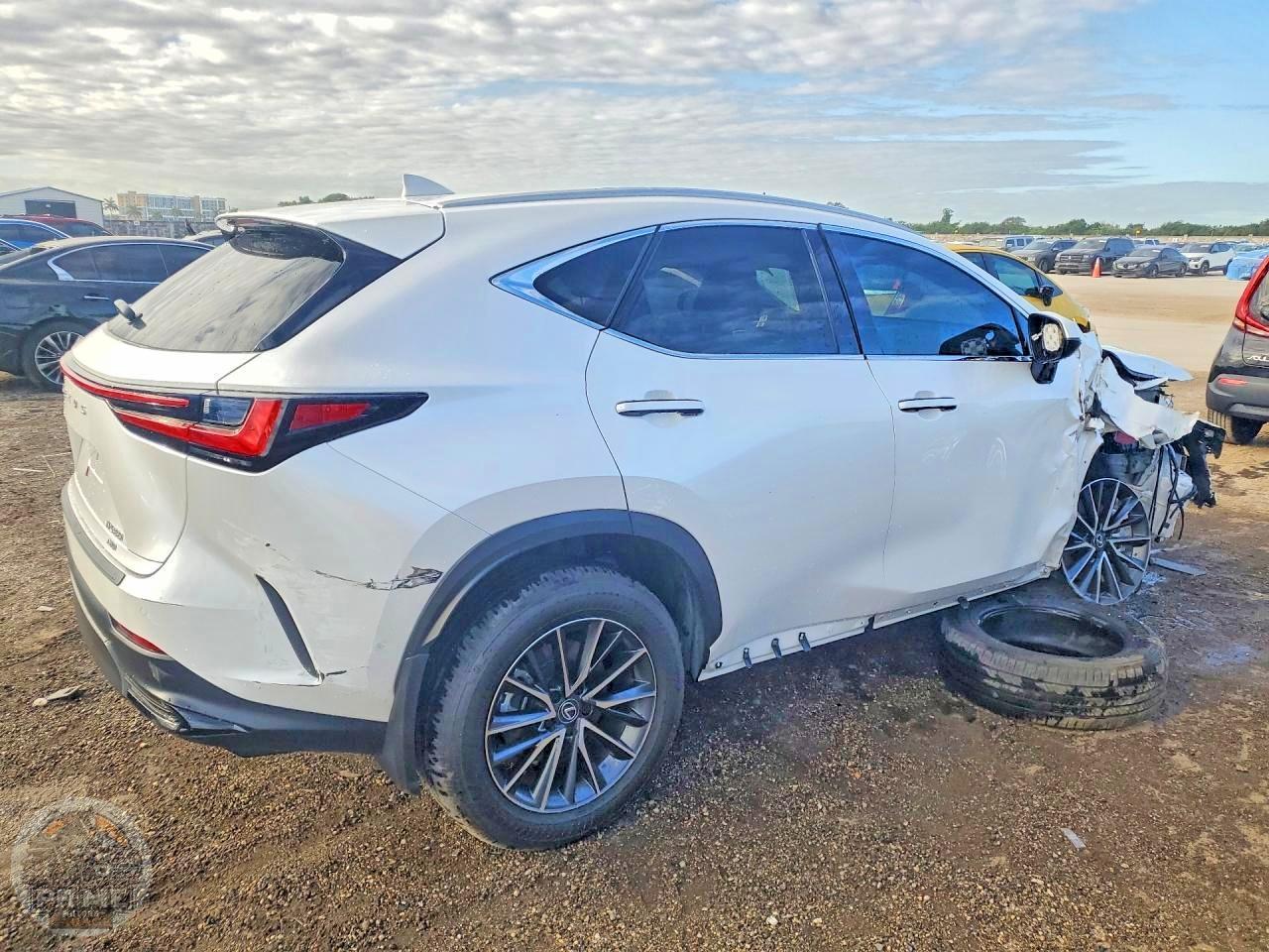 2025 LEXUS NX — фото 3