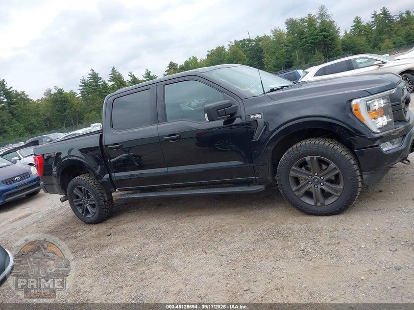 2023 FORD F-150 XLT — фото 14