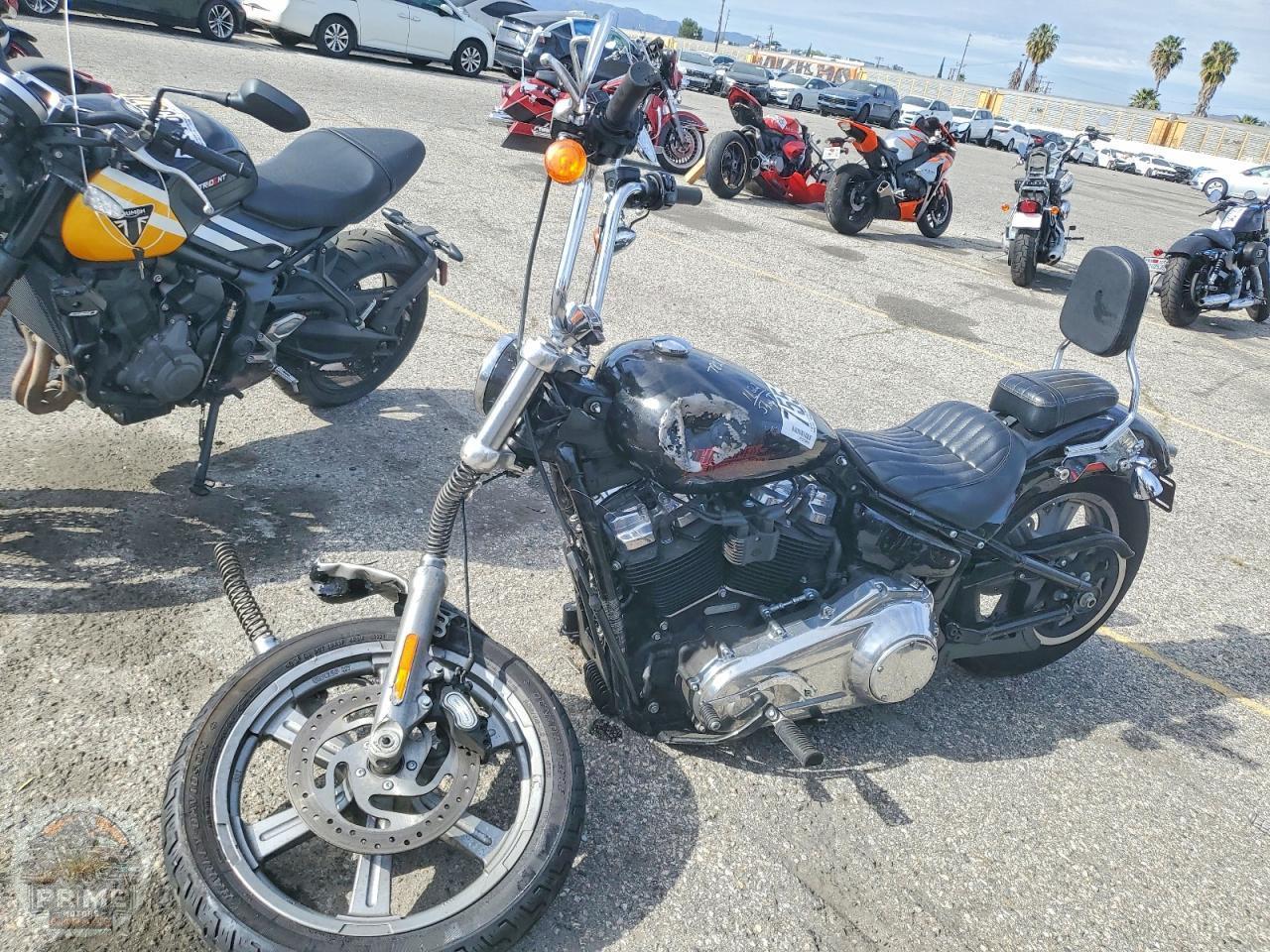2024 HARLEY-DAVIDSON FXST (SOFTAIL STANDARD) — фото 3