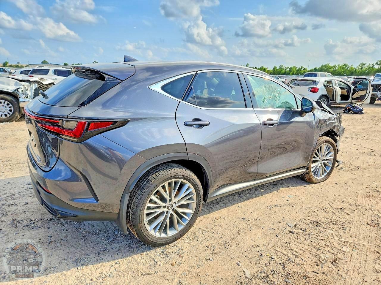 2025 LEXUS NX — фото 3