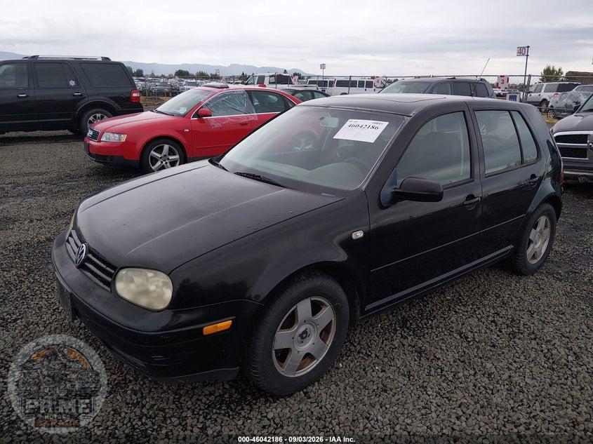 2002 VOLKSWAGEN GOLF GLS TDI — фото 2