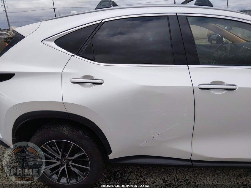 2025 LEXUS NX 350H PREMIUM — фото 6