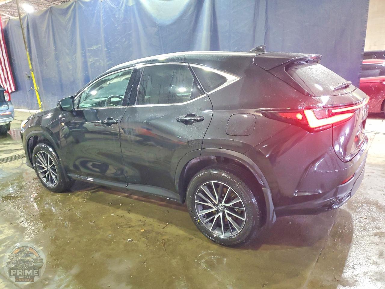 2024 LEXUS NX — фото 2