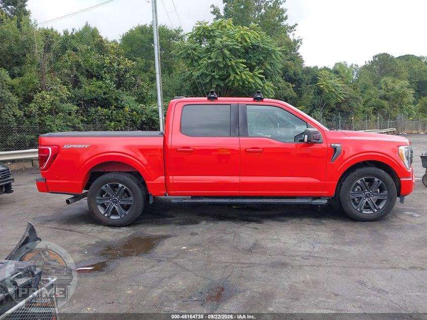 2023 FORD F-150 XLT — фото 13