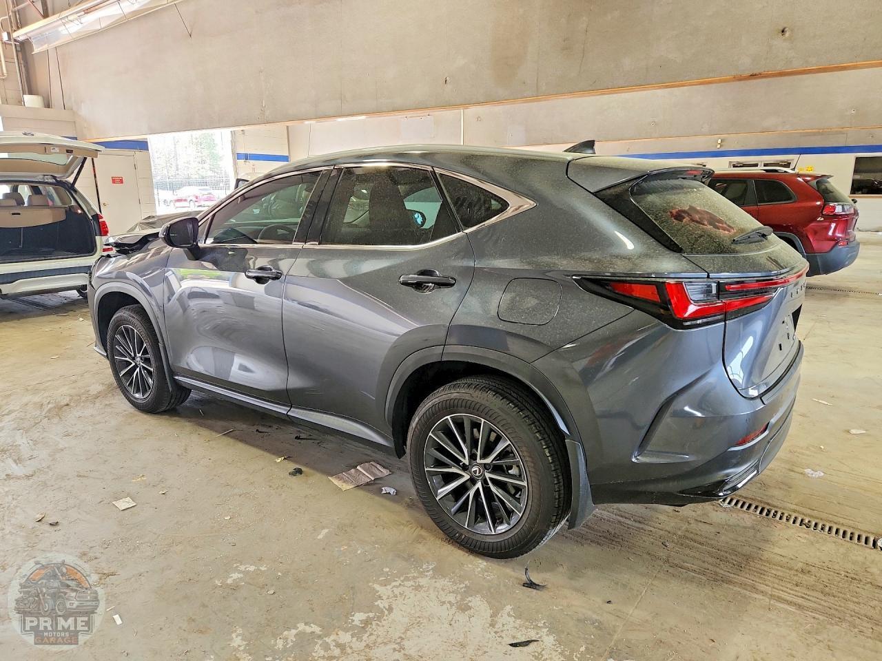 2025 LEXUS NX — фото 2