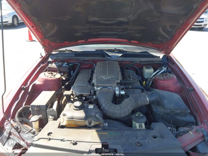 2008 FORD MUSTANG GT DELUXE/GT PREMIUM — фото 10