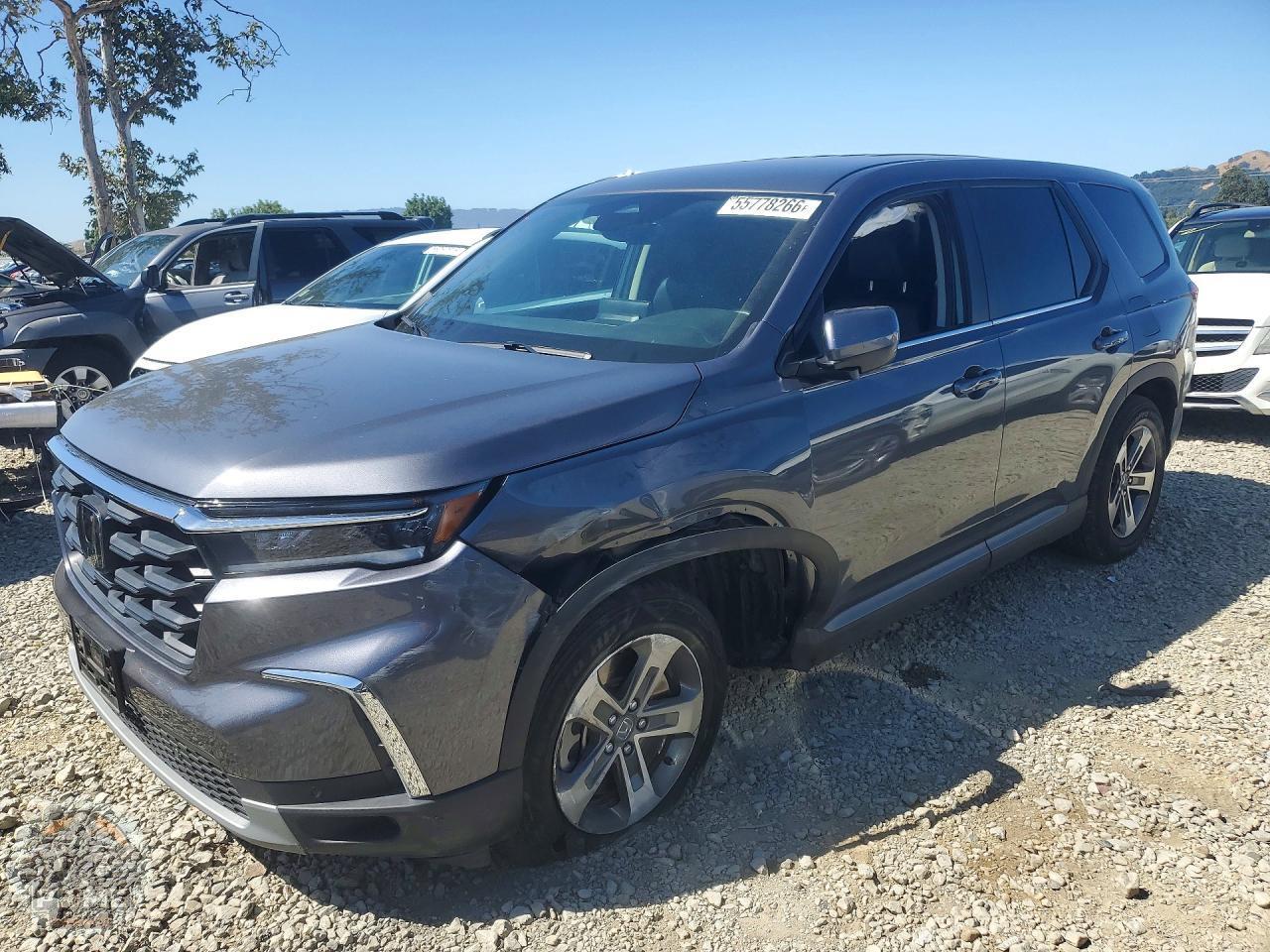 2025 HONDA PILOT — фото 1