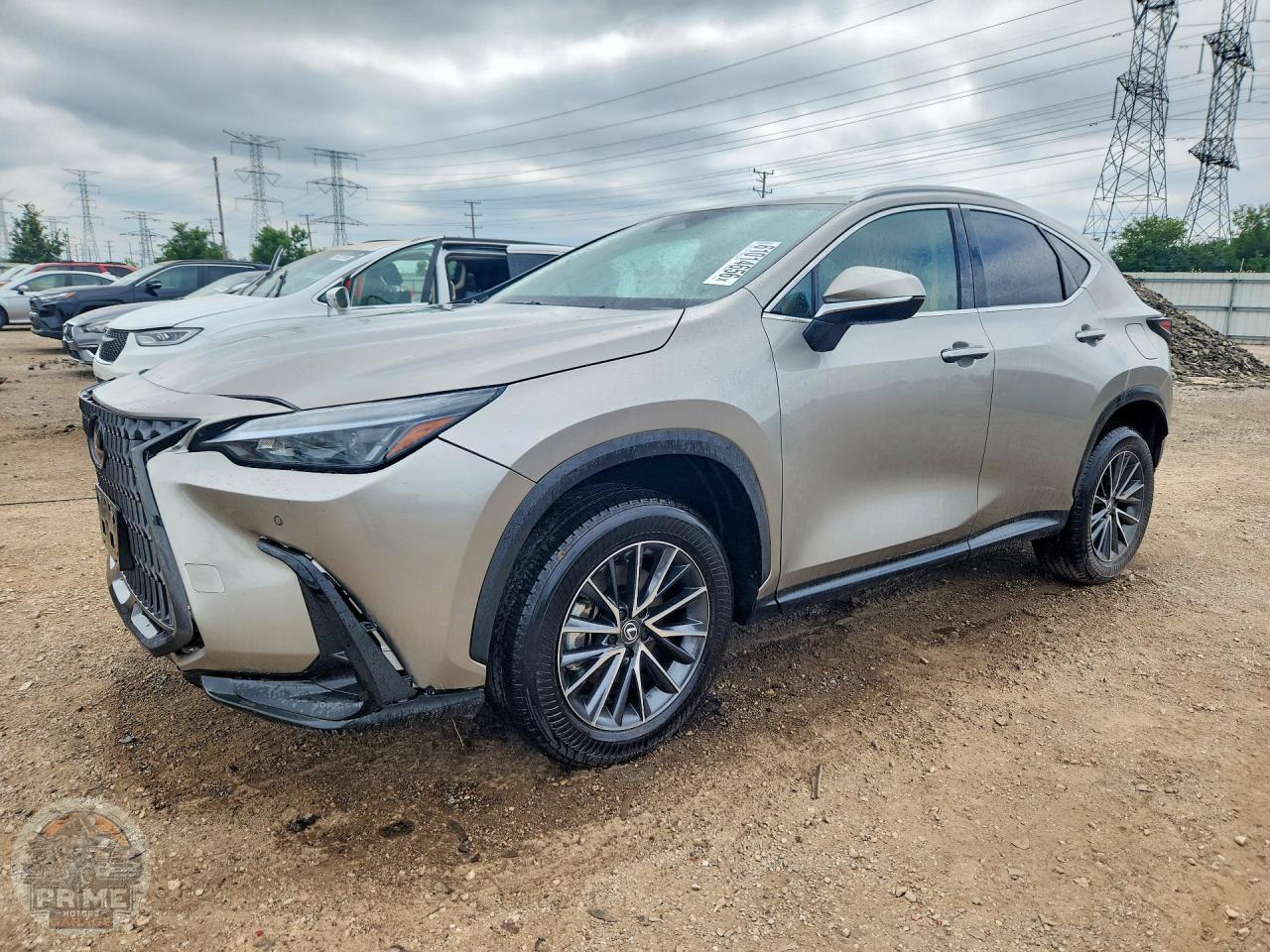 2025 LEXUS NX — фото 1