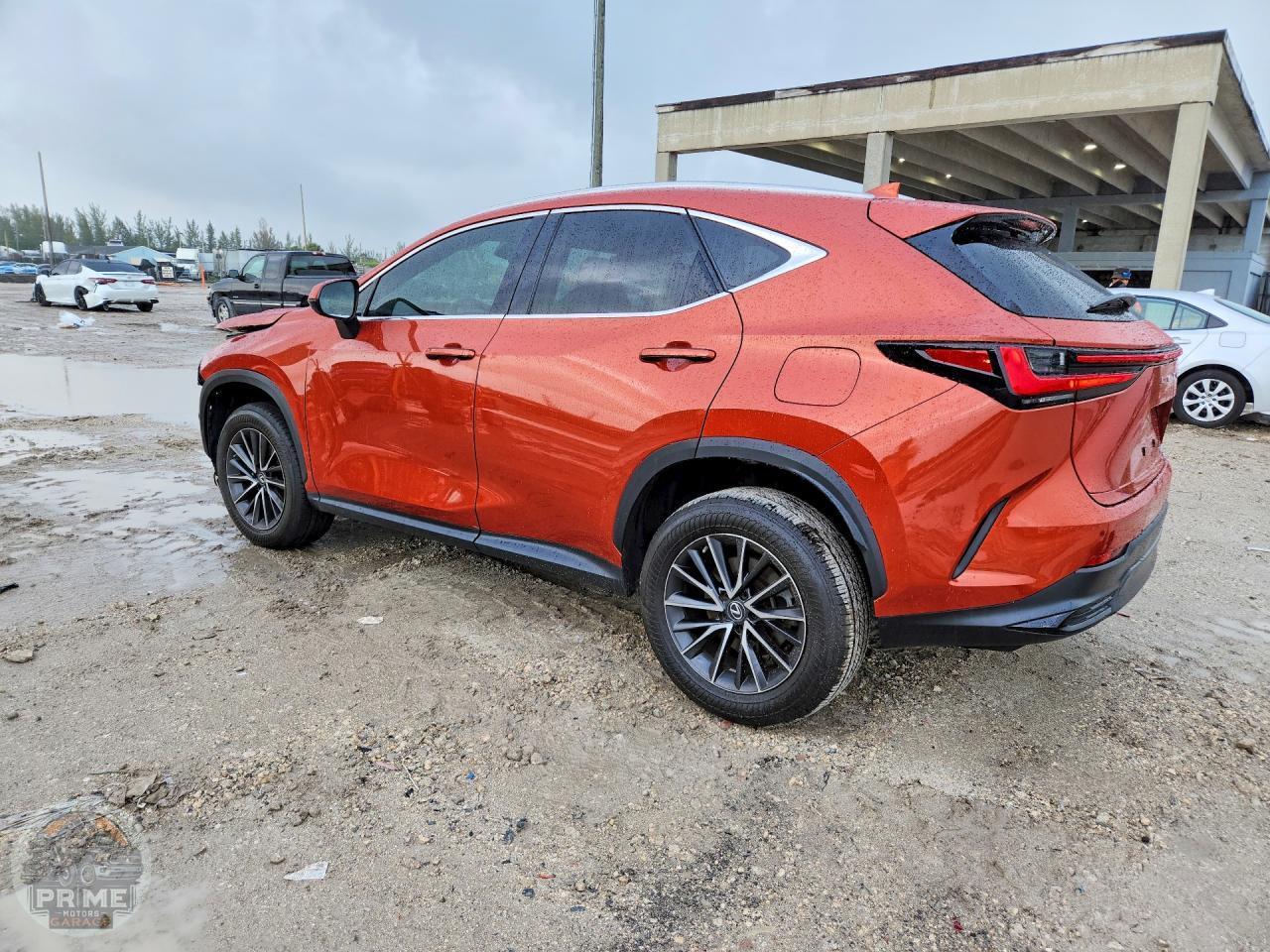 2023 LEXUS NX — фото 6
