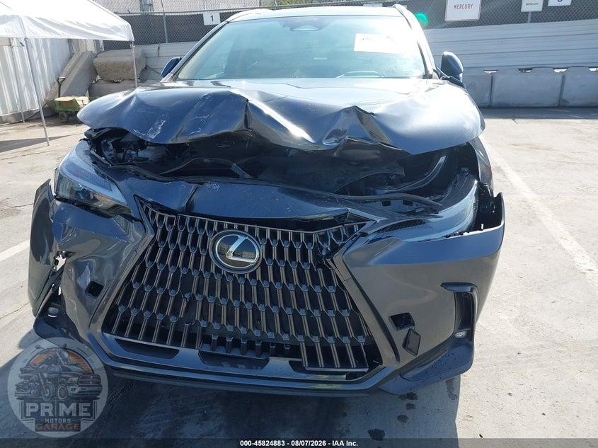 2024 LEXUS NX 350 — фото 20