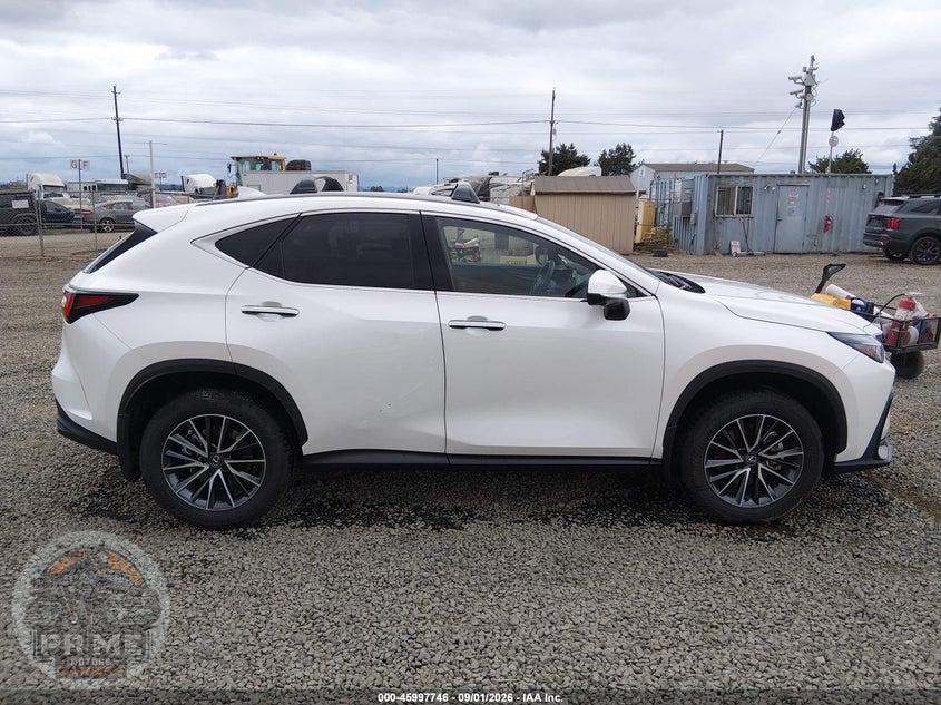 2025 LEXUS NX 350H PREMIUM — фото 13