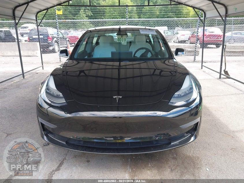 2019 TESLA MODEL 3 LONG RANGE/MID RANGE/STANDARD RANGE/STANDARD RANGE PLUS — фото 12
