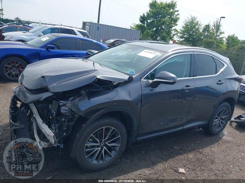 2025 LEXUS NX 350 PREMIUM — фото 15